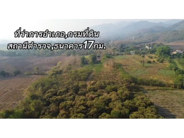 ขายที่ดิน พร้อมบ้านพัก 17ไร่ สวนลำใย ลำพูนโฉนด