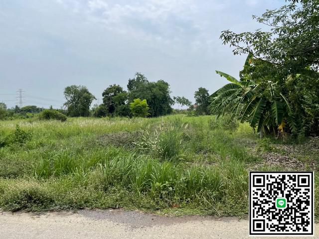 ขายที่ดิน  ซอยเทศบาลบึงบา อำเภอหนองเสือ จังหวัดปทุมธานี