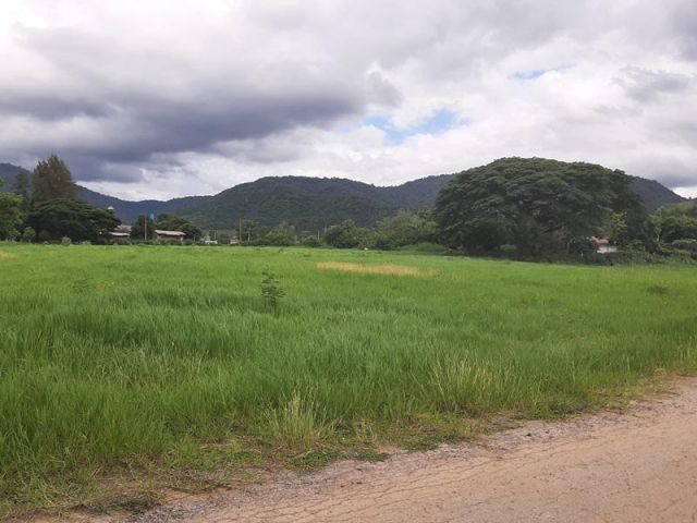 ขายที่ดินวิวเขาใหญ่สวยๆ ต.หมูสี บ้านคลองเดื่อ เนื้อที่ 9 ไร่ โฉนด ใกล้ทางหลวง3052