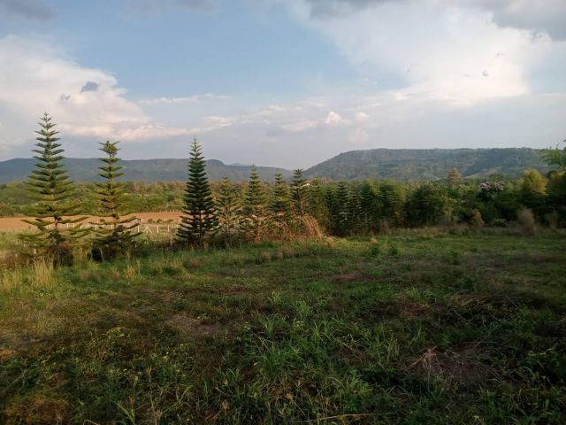 ที่สวยวิวเขา ทำเลดี สวยแทบใจละลาย เนินเขา ใกล้ทางหลวง มีเพื่อนบ้านน่าอยู่มากๆ 2 ไร่นะ