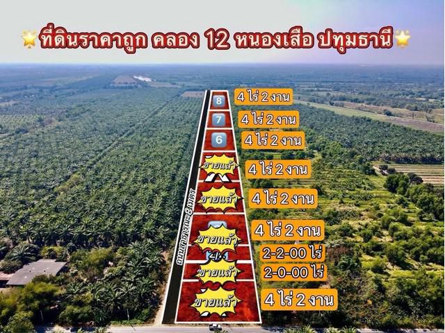ขายที่ดินนพรัตน์ 4.5 ไร่ คลอง 12 ราคาถูกๆ ถมแล้ว ติดรางน้ำ เหมาะปลูกบ้านสวนเกษตร อ.หนองเสือ จ.ปทุมธานี