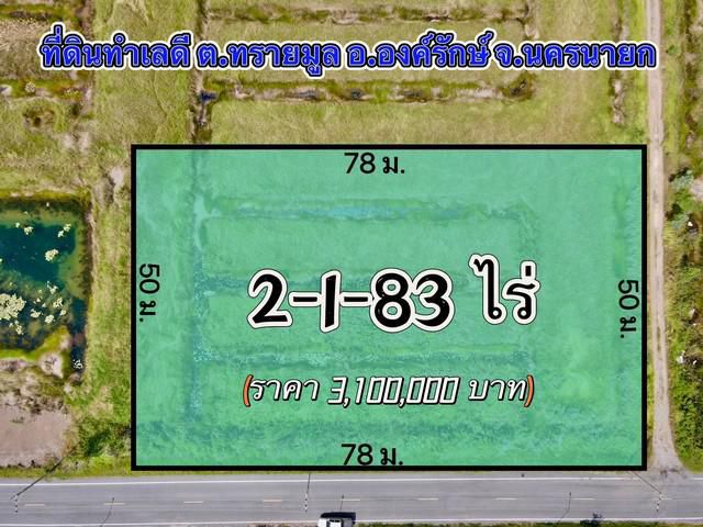 ขายที่ดินทรายมูล 2 ไร่ ติดถนน2ด้าน ใกล้ถนนเส้นรังสิต-นครนายก305-1กม. องครักษ์ นครนายก
