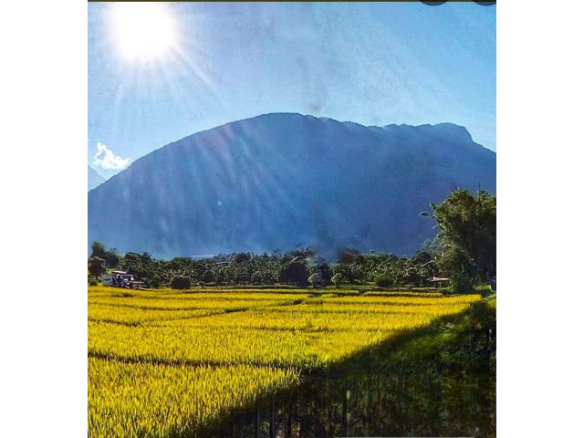 ขายที่ดินวิวดอย เมืองงาย เชียงดาว 6 ไร่ 2 งาน 4 ตร.วา
