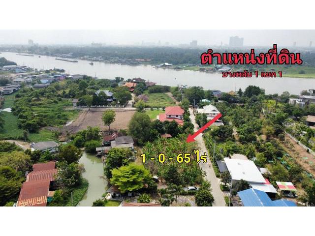 ขายที่ดิน ที่ดิน บางพลับ1