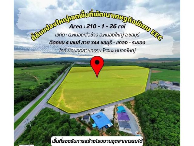 ขายที่ดินหนองเสือช้าง หนองใหญ่ ชลบุรี