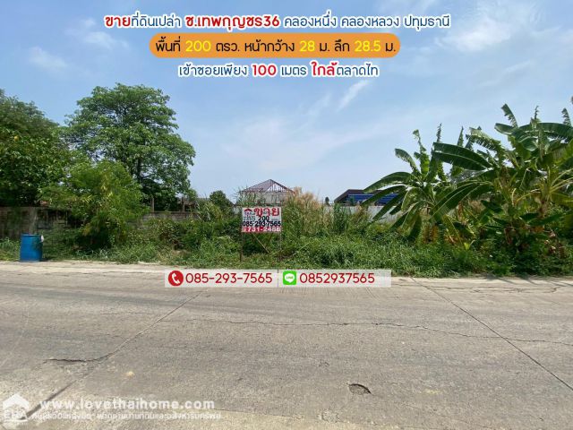 ขายที่ดิน ซอยเทพกุญชร36 คลองหนึ่ง คลองหลวง ปทุมธานี พื้นที่ 200 ตารางวา เข้าซอยเพียง 100 เมตร ใกล้ตลาดไท