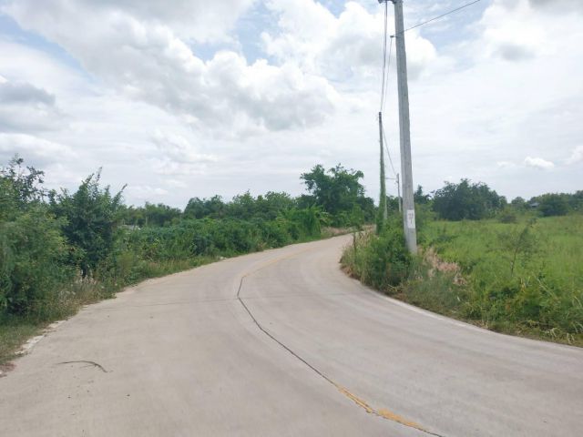 ขายที่ดินด่วน
