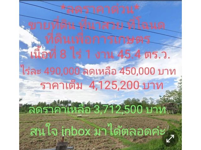 ขายที่ดิน ที่นาที่โฉนด 8ไร่1 งาน45.4 ตรว