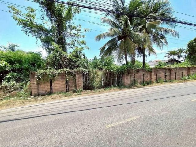 ขายที่ดินตำบลหางดงหลังตลาดหางดงค้าขายได้โฉนดพร้อมโอน