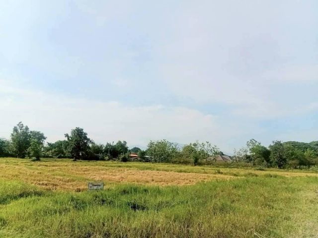 ขายที่ดินตำบลน้ำแพร่หางดงโฉนดสี่เหลี่ยมพร้อมโอน