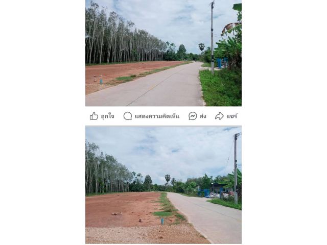 ที่ดินสวยถมแล้ว ใกล้เทศบาลคลองแห 1 กิโล ห้องละ300,000  ไฟฟ้าประปาผ่าน   ล็อคละ 2 ห้อง  กว้าง 10 ลึก 23 เมตร