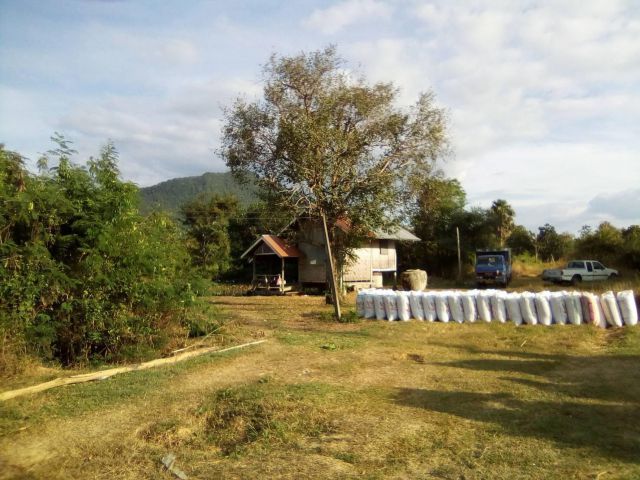 ให้เช่าพื้นที่เชียงคานเพื่อการเกษตร แถวภูทอก บรรยากาศดี เลี่ยงสัตว์ ทำฟาร์มได้สบาย