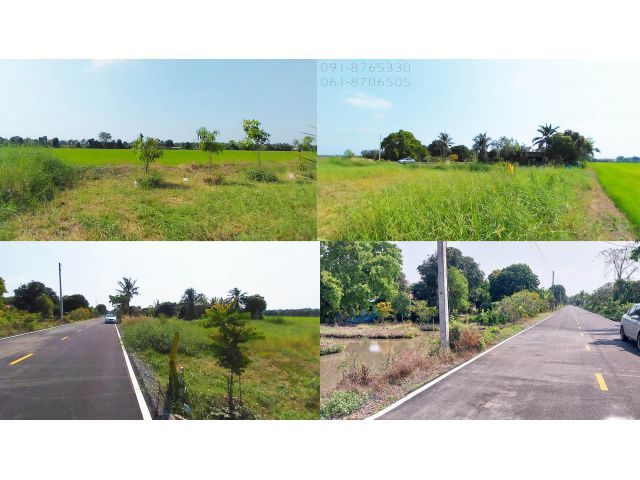 ขายที่ดินคลอง8 บึงบอน ปทุมธานี 134ตรว ติดถนนลาดยาง เหมาะปลูกบ้านสวน สามารถผ่อนได้