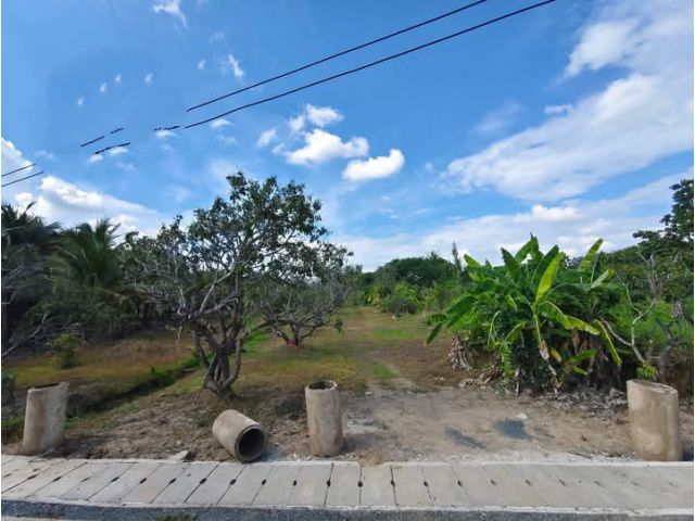 ขายที่ดินติดถนนเลียบรถไฟสารภีโฉนดพร้อมโอน