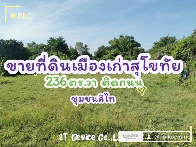 ขายด่วนที่ดิน 236 ตารางวา ถมแล้ว ชุมชนลิไท เมืองเก่า สุโขทัย