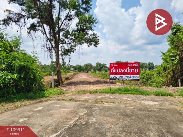 ขายที่ดิน ใกล้เซนทรัลจันทบุรี พื้นที่สีเหลือง เนื้อที่ 10 ไร่ 2 งาน 67.5 ตารางวา คลองนารายณ์ จันทบุรี