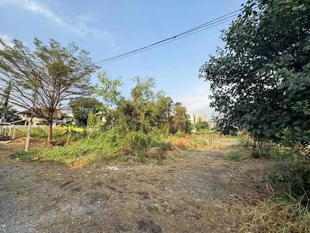 ขายที่ดินเปล่า 314 ตร.วา ใจกลางปากเกร็ด ใกล้ MRT สายชมพู