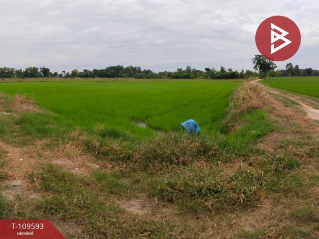 ขายที่ดิน เนื้อที่ 11 ไร่ 33 ตร.วา โพธิ์ประทับช้าง พิจิตร