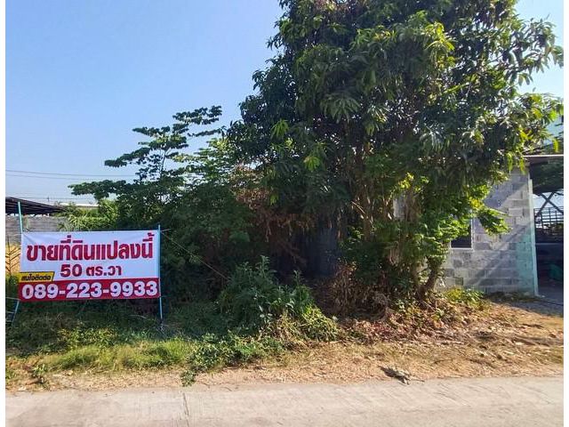 เจ้าของปล่อยเอง ขายที่ดินเปล่า ซอยเทพกุญชร24 ราคาต่ำกว่าตลาด พื้นที่ 50ตรว
