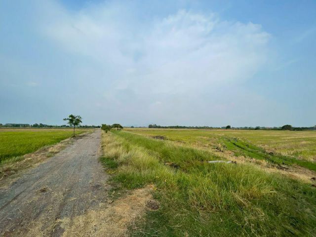 ขายที่ดิน 9-1-23 ไร่ ตำบลโปร่ง อำเภอหนองโดน จังหวัดสระบุรี