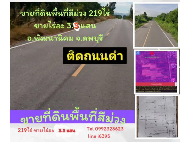 ชายที่ดินพื้นที่สีม่วง 219 ไร่ อ.พัฒนานิคม จ. ลพบุรี