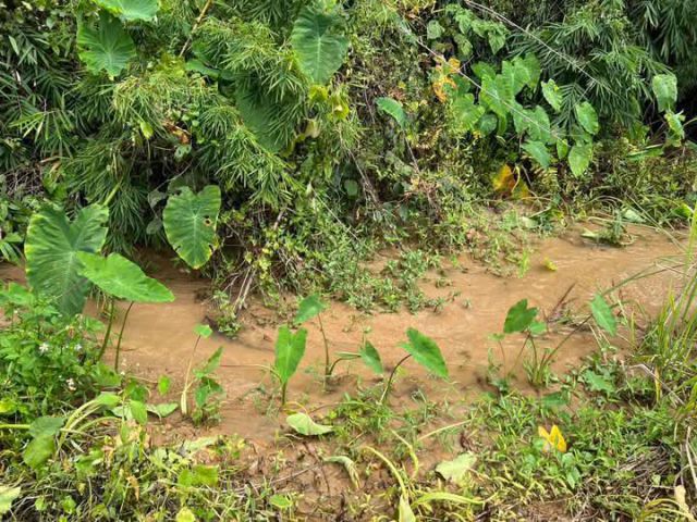 ขายที่ดินบ้านปางแฟนติดลำห้วยป่าเมี่ยงดอยสะเก็ตพร้อมโอน