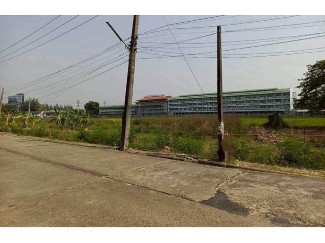 ขายที่ดินตำบลหนองผึ้งสารภีในโครงการใกล้เมืองพร้อมโอน