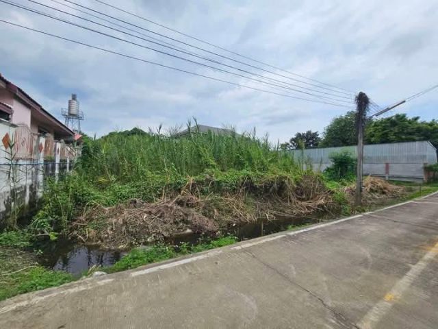 ขายทีีดินตำบลป่าแดดป่าแดดใต้ติดถนนคอนกรีตพร้อมโอน