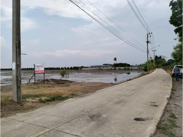 ขายที่ดิน59ไร่ ต.ระแหง อ.ลาดหลุมแก้ว จ.ปทุมธานี