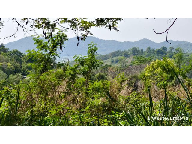 ที่ดินเขาใหญ่