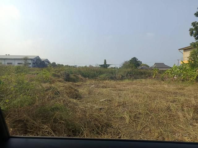 ขายที่ดินเฉลิมพระเกียรติ ร.9 ซอย 30 แยก 14 เขตประเวศ ราคาดีมาก