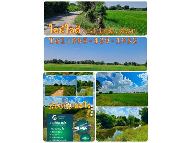 ขายที่ดินอำเภอหนองหญ้าไซ จังหวัดสุพรรณบุรี