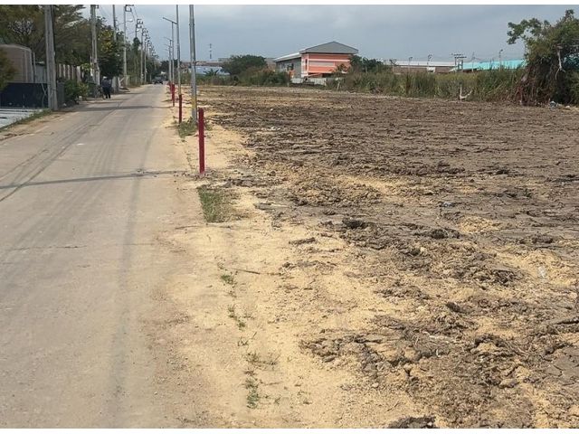 ขายที่ดินถมแล้ว 90 ตร.ว. ซอยตลาดแสงทอง บางบ่อ สมุทรปราการ ราคาถูกมาก ทำเลดี