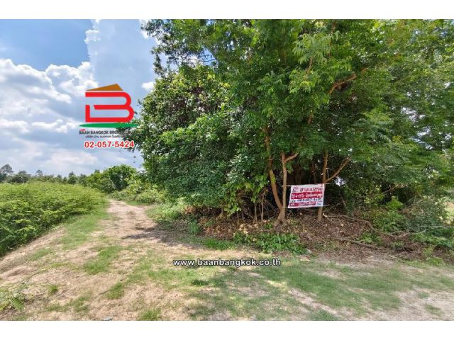 ที่ดินเปล่า บ้านหนองแสง เนื้อที่ 23-0-22 ไร่ ซ.เทศบาลตำบลบ้านซ่อง 34 ตำบลเขาหินซ้อน อำเภอพนมสารคาม จังหวัดฉะเชิงเทรา