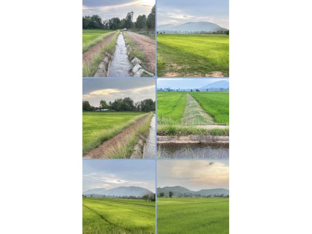 ที่นาแสนสวย น้ำและภูเขา