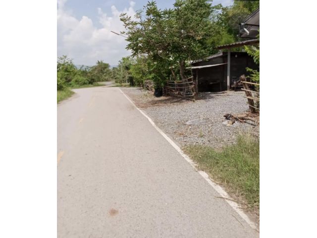 ขายที่ดินโฉนด 86 ตรงว.(พร้อมบ้าน) ต.ภูกระดึง อ.ภูกระดึง จ.เลย อยู่ใจกลางเมืองภูกระดึง ใกล้อุทยานแห่งชาติภูกระดึง