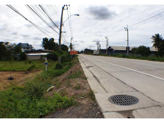 ขายที่ดิน ไทรน้อย ติดถนนบ้านกล้วย-ไทรน้อย เนื้อที่ 9 ไร่ ทำเลดี ติดถนน
