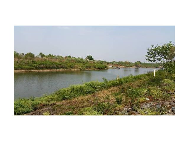 ขายที่ดิน 190 ไร่ ติดริมแม่น้ำมูล ใกล้เขื่อนยาง อ.คูเมือง บุรีรัมย์