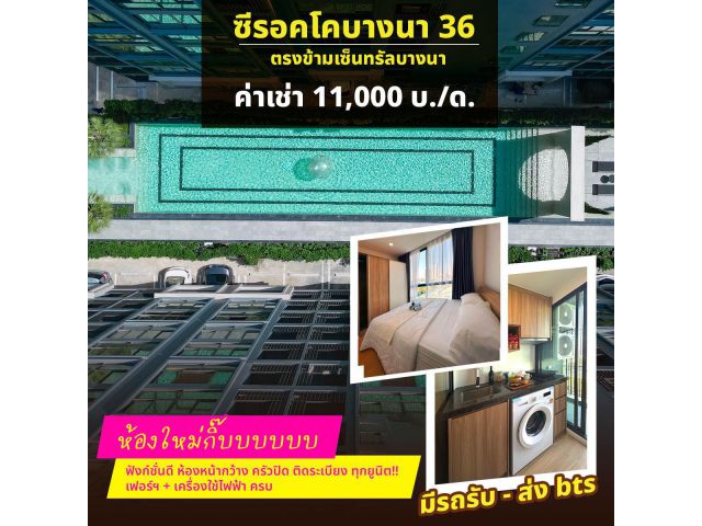 ปล่อยเช่า ซีรอคโคบางนา 36