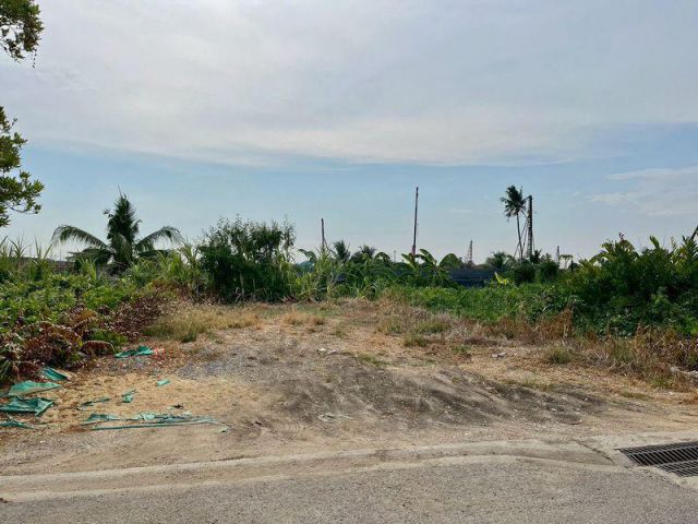 ขายที่ดินเปล่า 60ตรว.ซอยบางแวก 156 บางแค ภาษีเจริญ พุทธมณฑลสาย 2 ถมแล้ว เหมาะสร้างบ้าน mrtหลักสอง