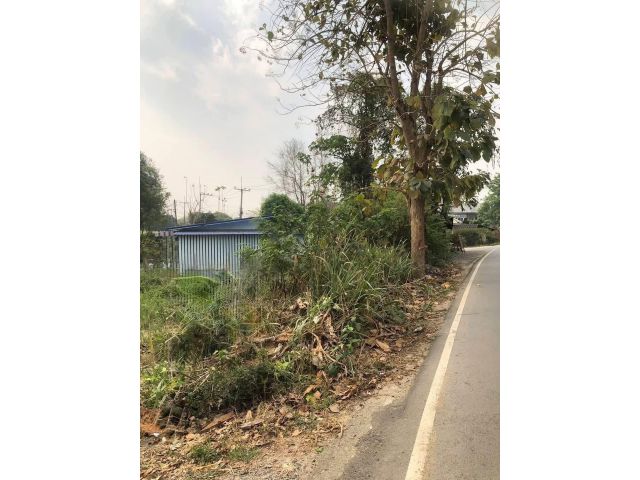 ขายที่ดินตำบลริมใต้แม่ริมติดถนนโฉนดพร้อมโอน