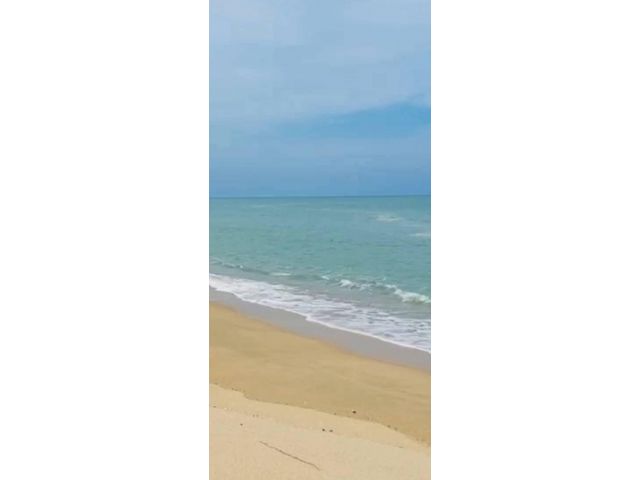 *** ขายที่ดิยติดทะเล หาดส่วนตัว แปลงสวย หาดแม่พิมพ์ ระยอง