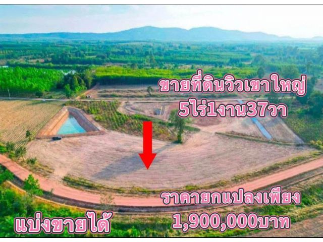 ขายที่ดิน5ไร่1งาน37วาราคายกแปลง1,900,000บาทมองเห็นวิวเขาใหญ่แถว ต แก่งดินสอ อ นาดี จ ปราจีนบุรี