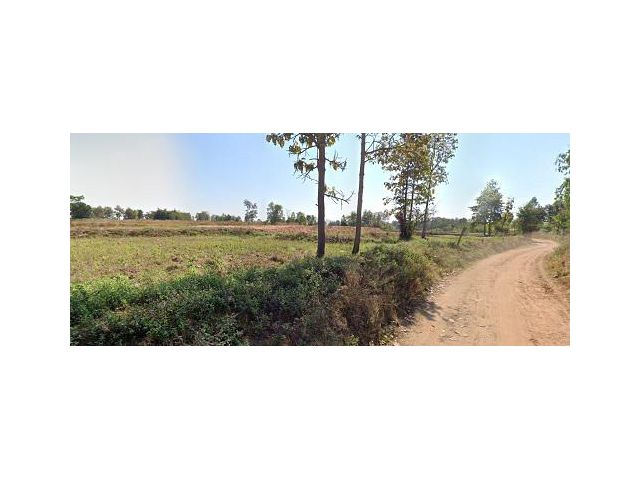 ขายที่ดินบ้านหนองแวง ตำบลดอนเงิน อำเภอเชียงยืน