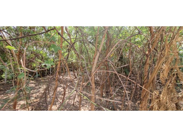 ขายที่ดินพุทธบูชา 36 บางมด ทุ่งครุ กรุงเทพฯ