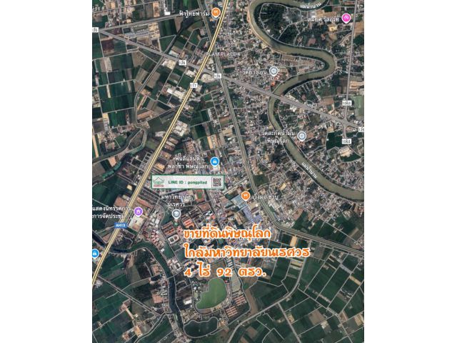 ขายที่ดินพิษณุโลก ใกล้มหาวิทยาลัยนเรศวร 4 ไร่ 92 ตรว. ตรว.10,000 บาท