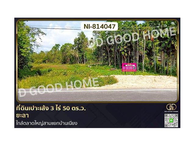 NI-814047 ที่ดินเปาะเส้ง 3 ไร่ 50 ตร.ว. ยะลา ใกล้ตลาดใหญ่สามแยกบ้านเนียง