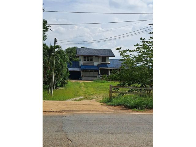 ที่ดินปากช่องพร้อมบ้าน 2.5 ไร่ ในตัวเมืองปากช่อง ถนนเทศบาล 5 หลังโรงพยาบาลปากช่อง ทางไปบ้านไร่ทอสี โรงเรียนปัญญาประทีป ท
