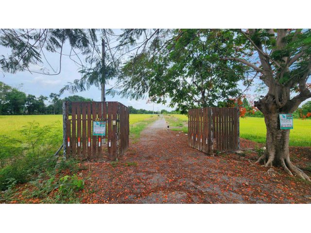 ขายที่ดิน 4 ไร่ หนองแค สระบุรี ใกล้วัดหนองโรง