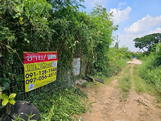 ขายที่ดิน 150 วา พร้อมสิ่งปลูกสร้าง ซ.รพช.-หนองไผ่ ใกล้วราสิริ ขอ